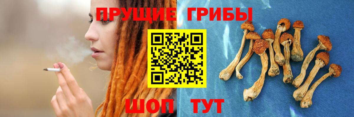 Галлюциногенные грибы Psilocybine cubensis  Вход с VPN  Скопин  Псилоцибиновые грибы Cubensis 